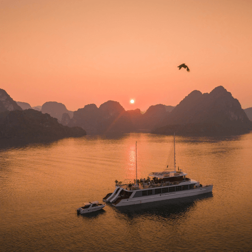 Ha Long Bay 1 Day Tour On 5 Star Cruise From Hanoi - Haiphong