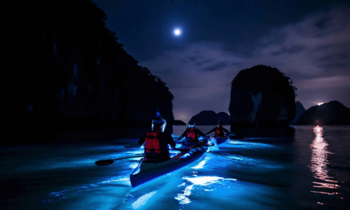 Night Kayaking Tour With Bioluminescence Plankton On Lan Ha Bay