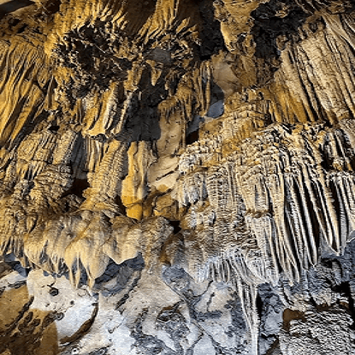 Cat Ba National Park - Trung Trang Cave Half  Day Trekking Tour