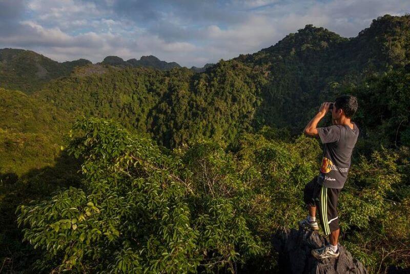 cat-ba-butterfly-valley-paradise-for-climbers-and-nature-lovers.jpg