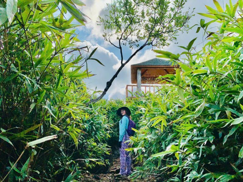 cat-ba-national-park-top-things-to-know-before-visiting.jpg