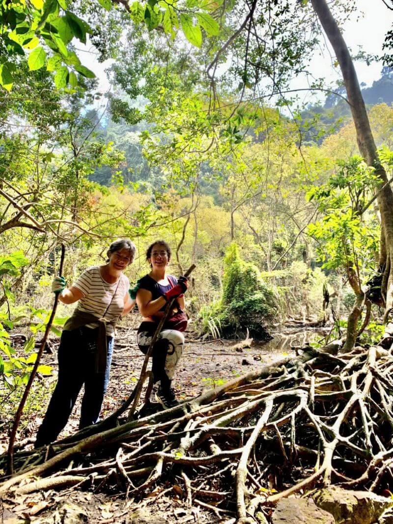 cat-ba-national-park-top-things-to-know-before-visiting.jpg
