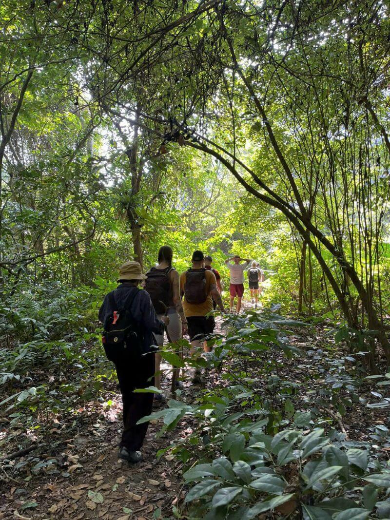 cat-ba-national-park-top-things-to-know-before-visiting.jpg