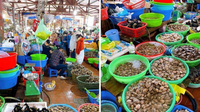 cat-ba-market-dive-into-fresh-seafood-and-island-culture.jpg