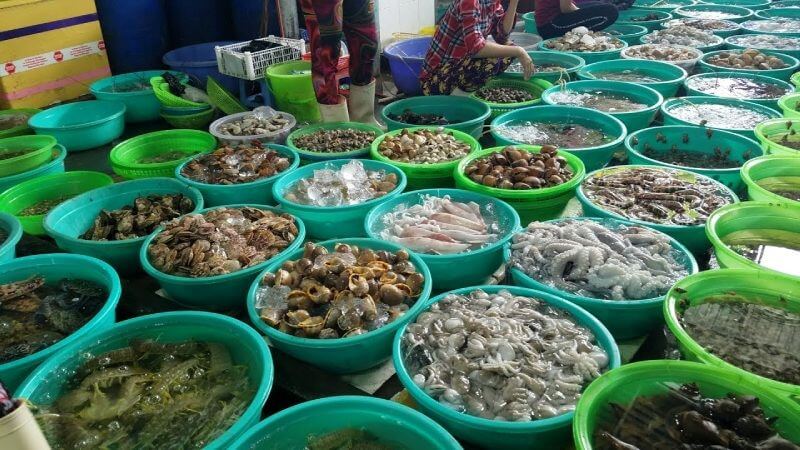 cat-ba-market-dive-into-fresh-seafood-and-island-culture.jpg