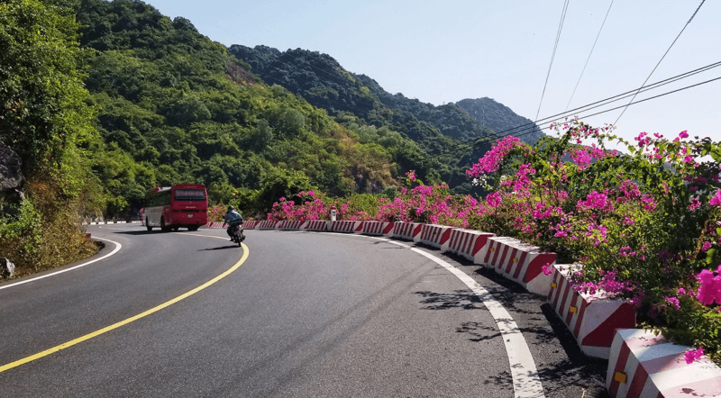cat-ba-coastal-road-the-most-scenic-route-in-vietnam.jpg