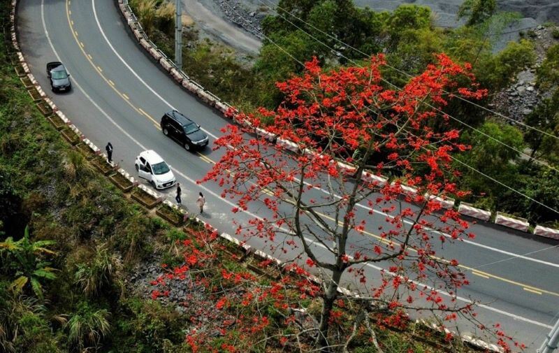 cat-ba-coastal-road-the-most-scenic-route-in-vietnam.jpg