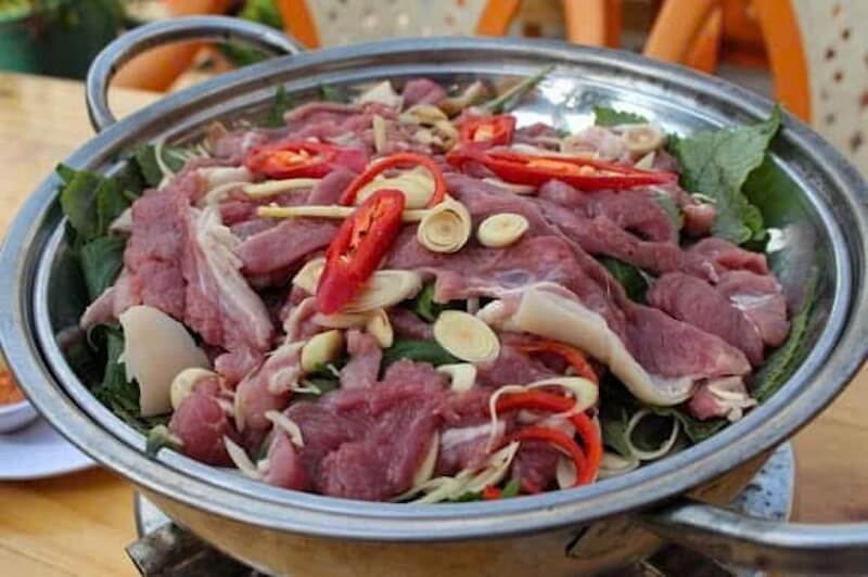 Cat Ba Mountain goat 2