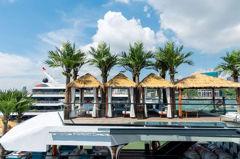 Dolphin Ha Long day cruise 11