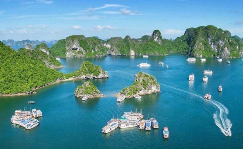 dragon-boat-racing-festival-in-cat-ba-island-spirit-of-the-sea.jpg