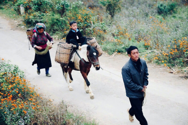 Ha Giang loop 3 days 4 night tour 10