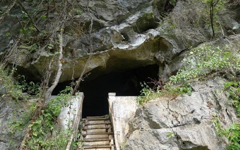 discover-hoa-cuong-cave-in-cat-ba-island-nature’s-secret-masterpiece.jpg
