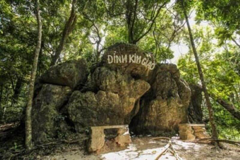 kim-giao-forest-in-cat-ba-a-unique-trekking-experience.jpg