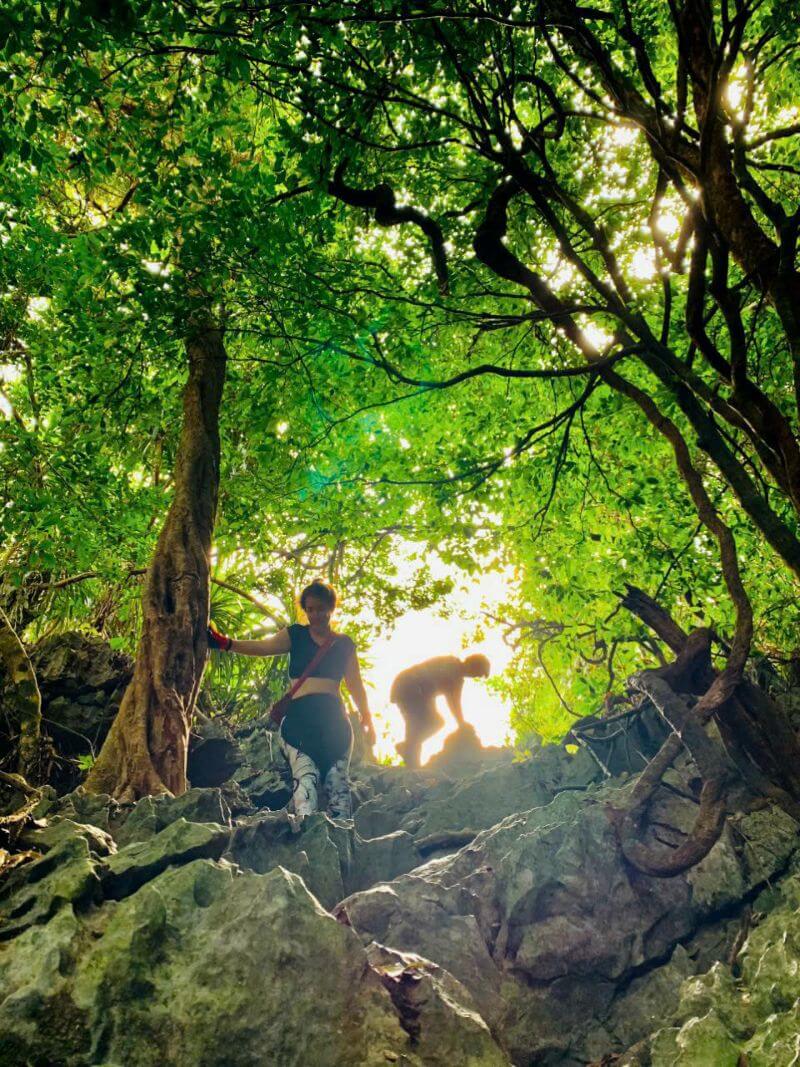 kim-giao-forest-in-cat-ba-a-unique-trekking-experience.jpg