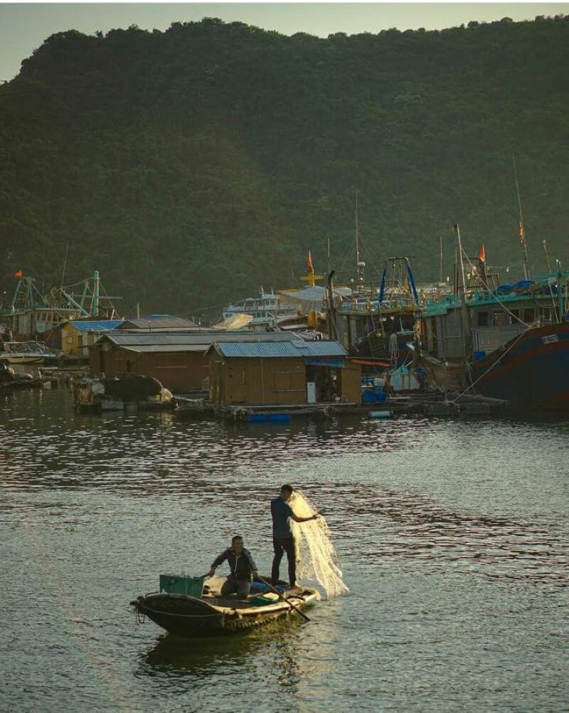 lan-ha-bay-travel-guide-explore-vietnam-hidden-paradise.jpg