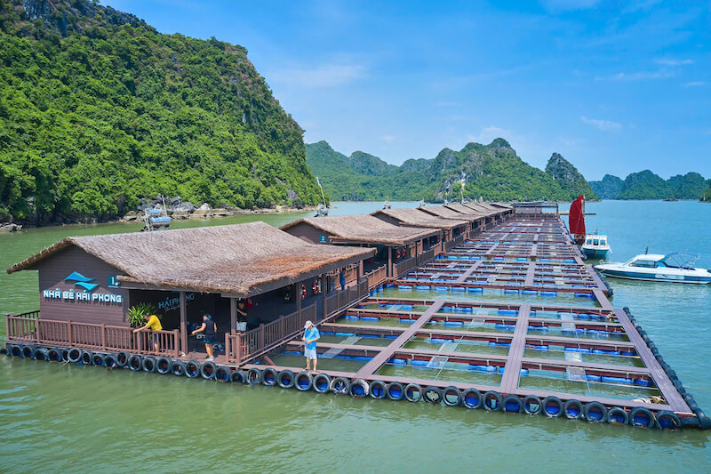 Lan Ha Bay floating house 06