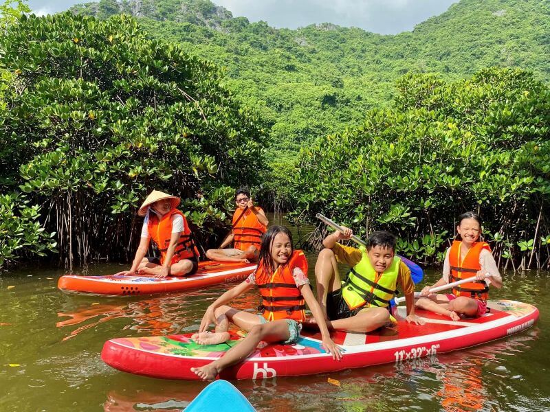 phu-long-mangrove-forest-cat-ba-a-peaceful-nature-escape.jpg