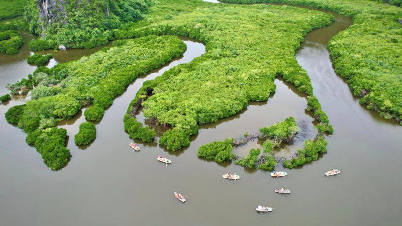 phu-long-mangrove-forest-cat-ba-a-peaceful-nature-escape.jpg