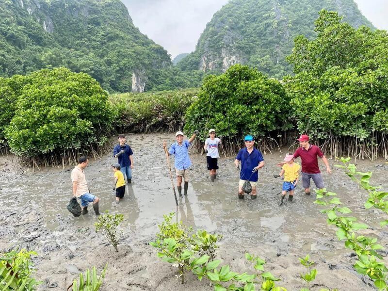 phu-long-mangrove-forest-cat-ba-a-peaceful-nature-escape.jpg