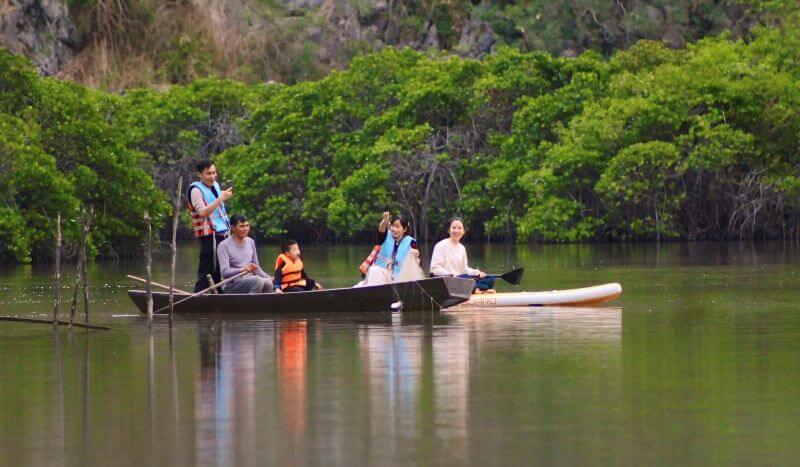 phu-long-mangrove-forest-cat-ba-a-peaceful-nature-escape.jpg