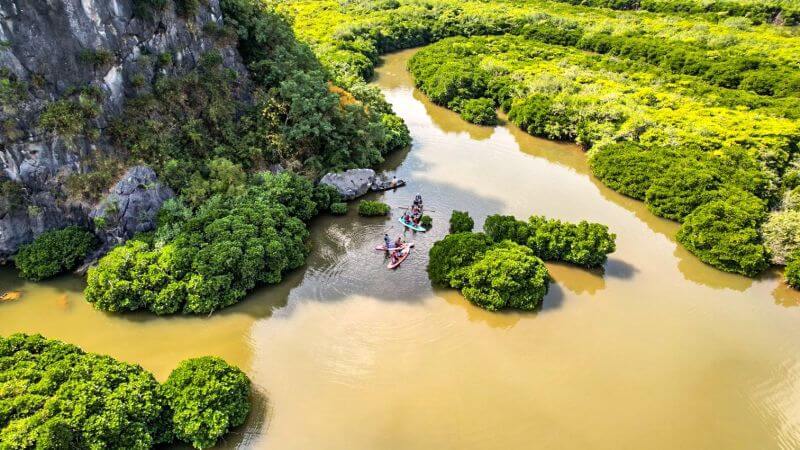 phu-long-mangrove-forest-cat-ba-a-peaceful-nature-escape.jpg