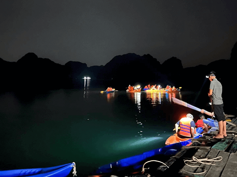 magical-bioluminescent-plankton-experience-in-cat-ba-by-kayak.jpg