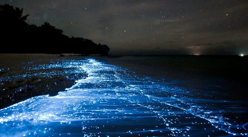 magical-bioluminescent-plankton-experience-in-cat-ba-by-kayak.jpg