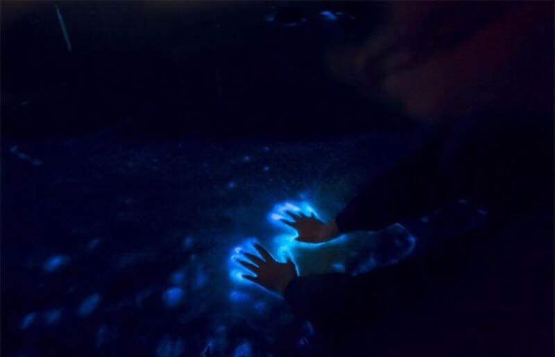 magical-bioluminescent-plankton-experience-in-cat-ba-by-kayak.jpg
