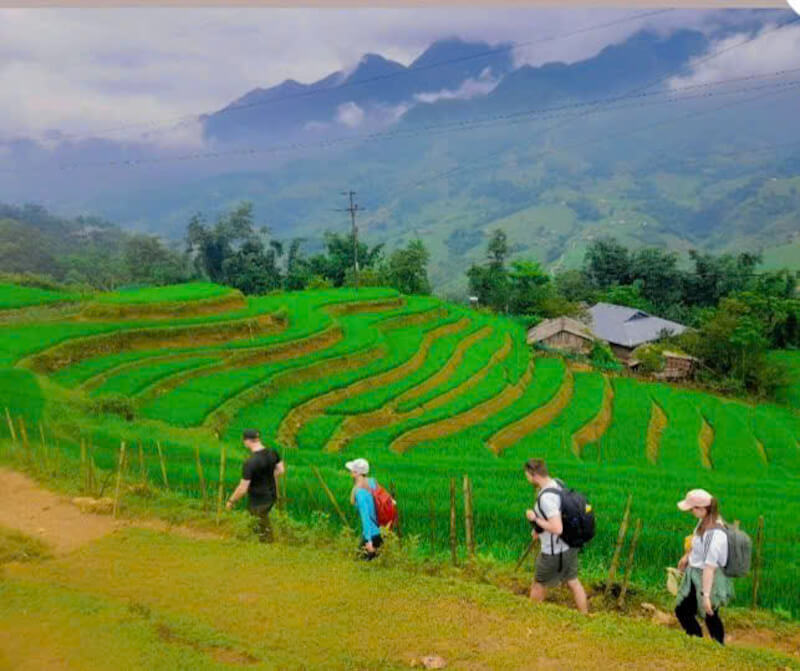 Sapa trekking