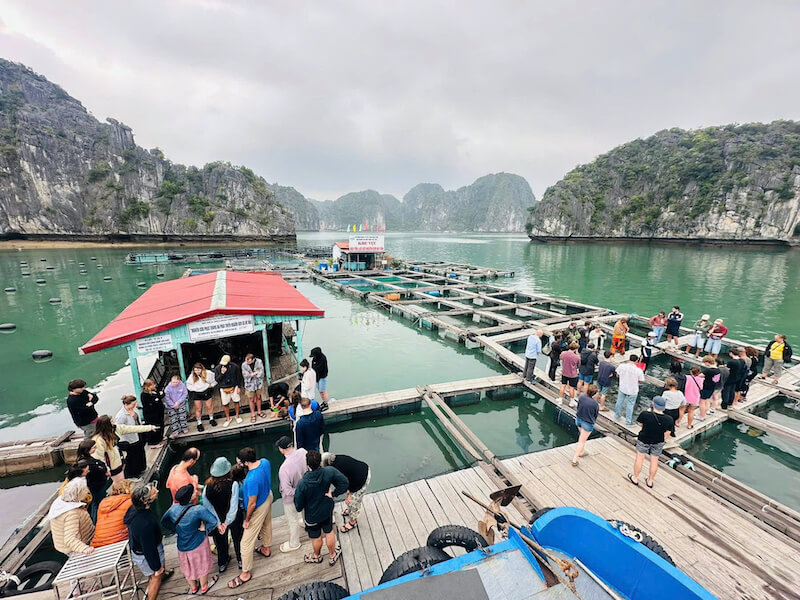 Tra Bau Floating village
