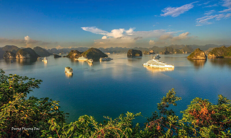Ha long bay travel company