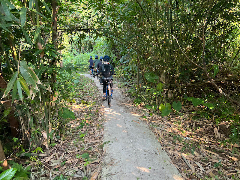 Cat Ba trekking half day tour with dinner 4