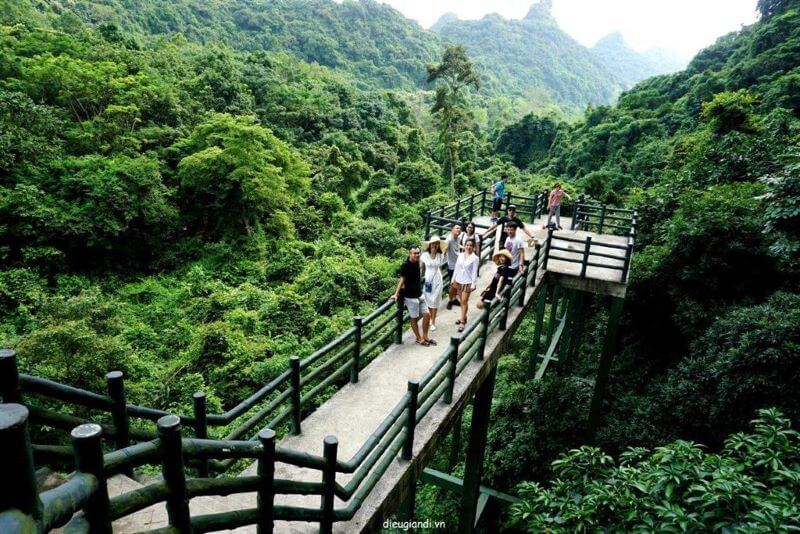 trung-trang-cave-a-natural-wonder-in-cat-ba-national-park.jpg