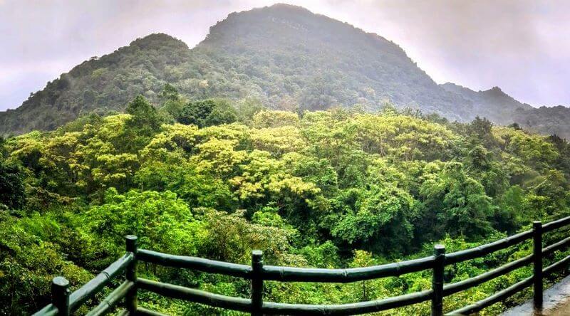 trung-trang-cave-a-natural-wonder-in-cat-ba-national-park.jpg