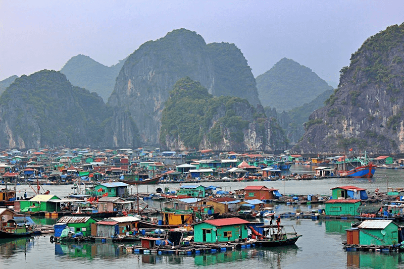 Cai Beo Fishing Village