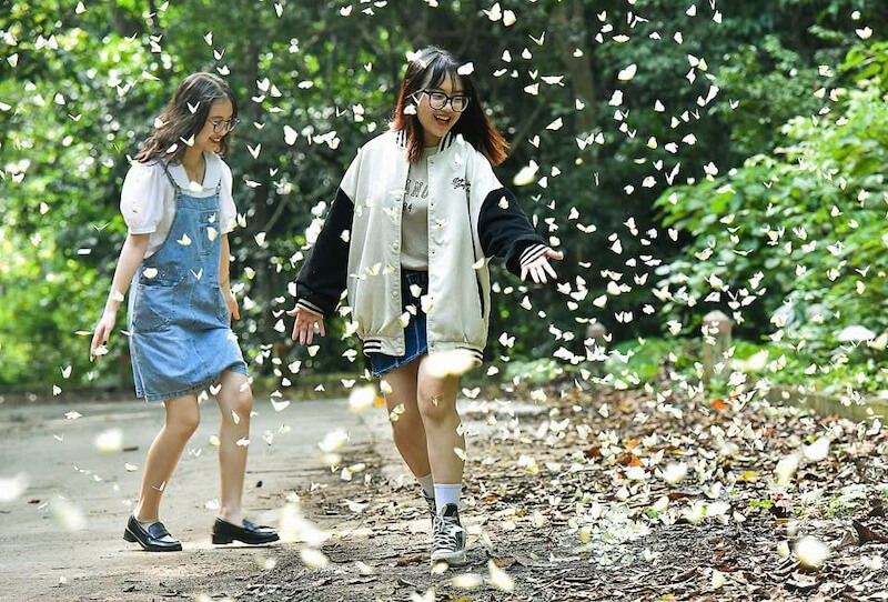 Cuc Phuong National Park 01