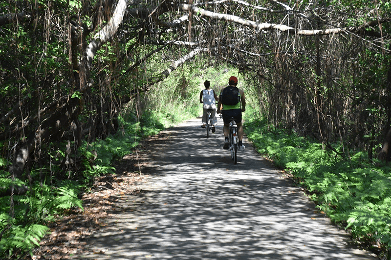 Cycling to Viet Hai Village 