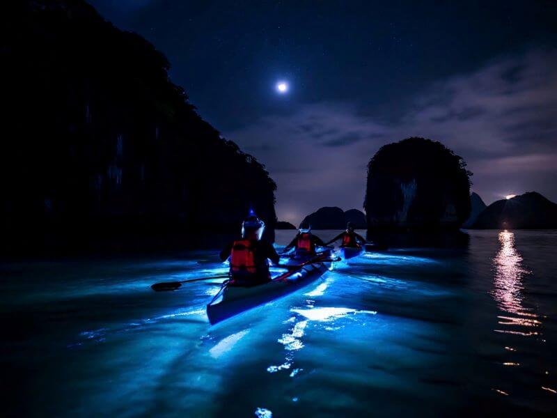 Kayaking to view plankton