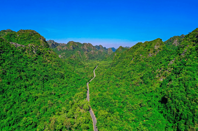 Road to Cat Ba National Park 